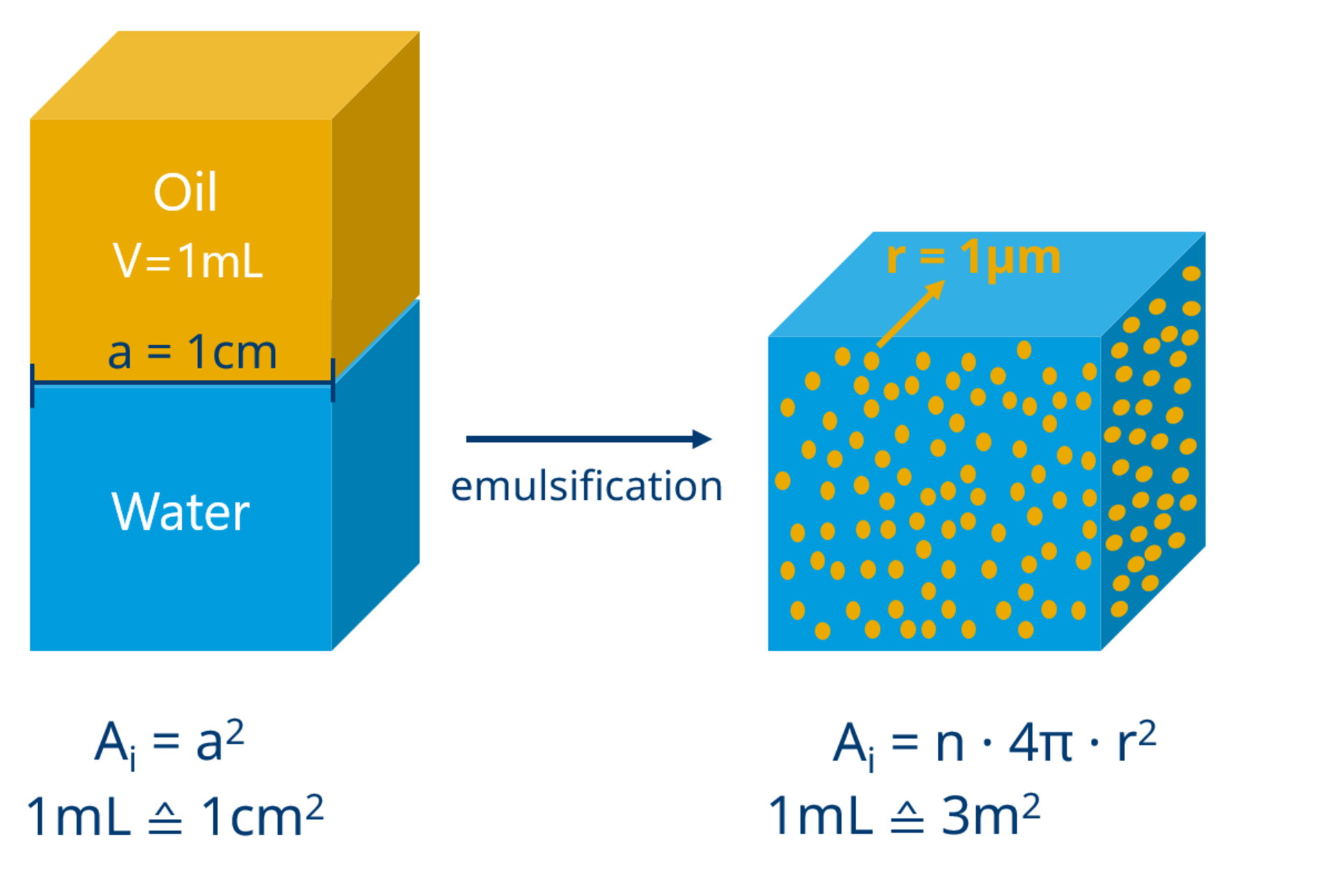Example of the enlargement of the interface Ai . On the left, 1 mL of oil as a cube with an edge length a of 1 cm; on the right, the same volume of oil in an emulsion with n droplets of 1 µm radius (r). The total size of the oil-water interface increases 30,000-fold. Example of the enlargement of the interface Ai . On the left, 1 mL of oil as a cube with an edge length a of 1 cm; on the right, the same volume of oil in an emulsion with n droplets of 1 µm radius (r). The total size of the oil-water interface increases 30,000-fold.